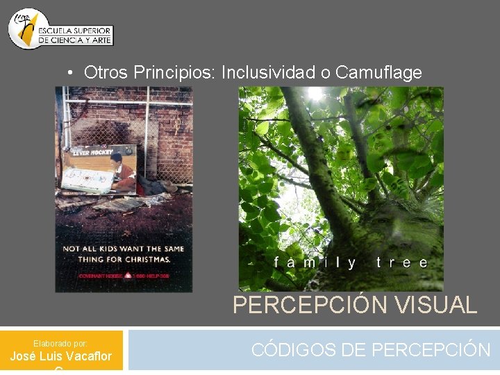  • Otros Principios: Inclusividad o Camuflage PERCEPCIÓN VISUAL Elaborado por: José Luis Vacaflor