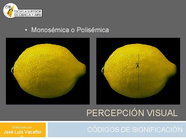  • Monosémica o Polisémica PERCEPCIÓN VISUAL Elaborado por: José Luis Vacaflor CÓDIGOS DE
