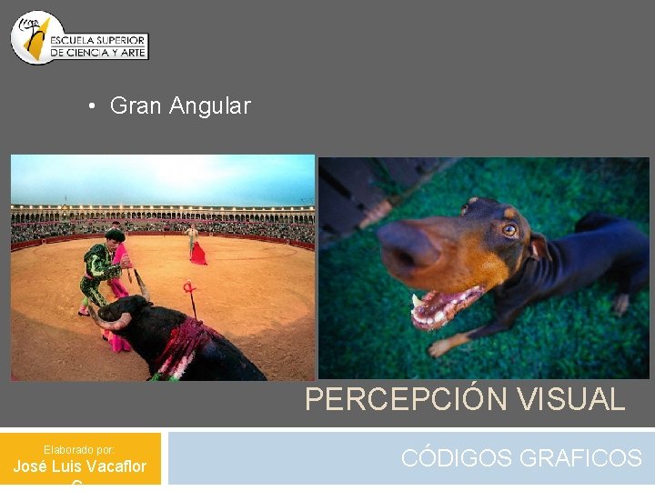  • Gran Angular PERCEPCIÓN VISUAL Elaborado por: José Luis Vacaflor CÓDIGOS GRAFICOS 