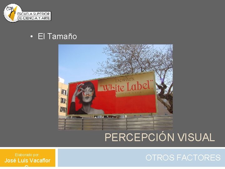  • El Tamaño PERCEPCIÓN VISUAL Elaborado por: José Luis Vacaflor OTROS FACTORES 