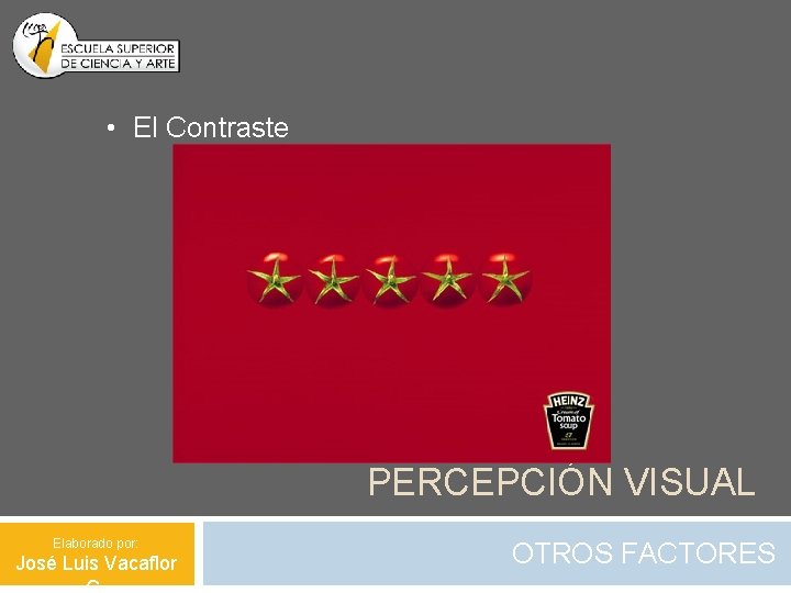  • El Contraste PERCEPCIÓN VISUAL Elaborado por: José Luis Vacaflor OTROS FACTORES 