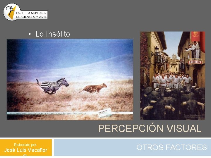  • Lo Insólito PERCEPCIÓN VISUAL Elaborado por: José Luis Vacaflor OTROS FACTORES 