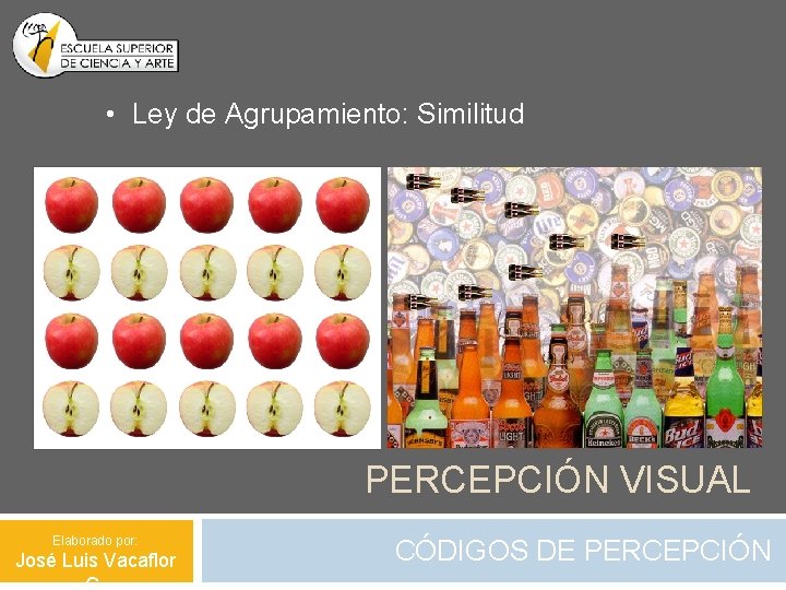  • Ley de Agrupamiento: Similitud PERCEPCIÓN VISUAL Elaborado por: José Luis Vacaflor CÓDIGOS