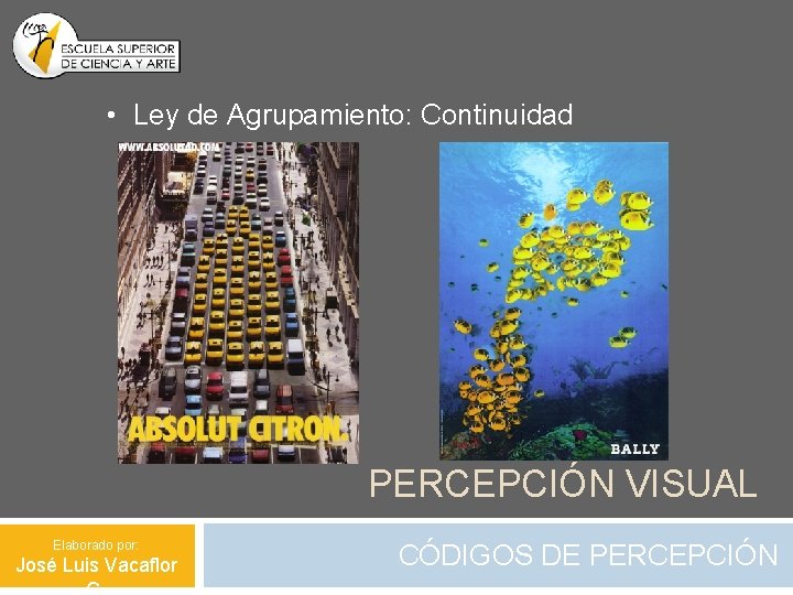  • Ley de Agrupamiento: Continuidad PERCEPCIÓN VISUAL Elaborado por: José Luis Vacaflor CÓDIGOS