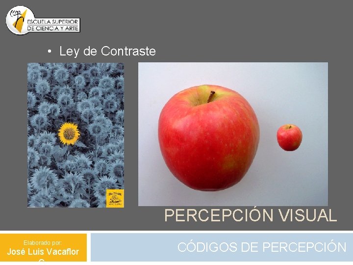  • Ley de Contraste PERCEPCIÓN VISUAL Elaborado por: José Luis Vacaflor CÓDIGOS DE