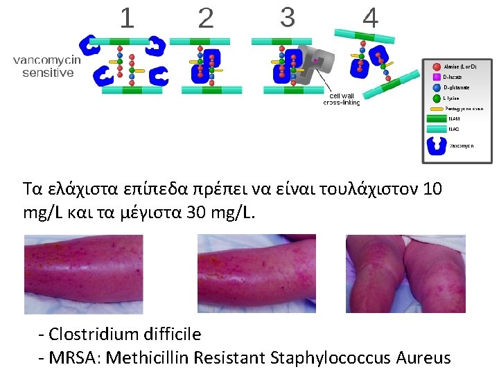 Τα ελάχιστα επίπεδα πρέπει να είναι τουλάχιστον 10 mg/L και τα μέγιστα 30 mg/L.