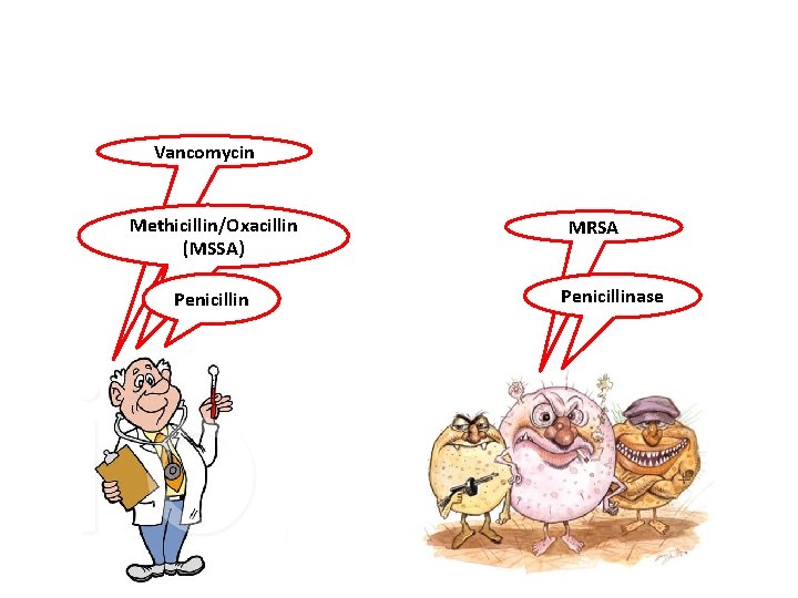 Vancomycin Methicillin/Oxacillin (MSSA) Penicillin MRSA Penicillinase 