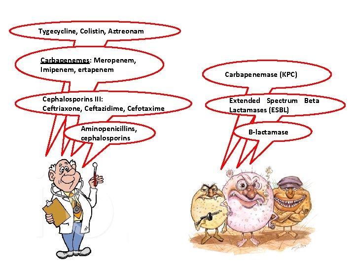 Tygecycline, Colistin, Aztreonam Carbapenemes: Meropenem, Imipenem, ertapenem Cephalosporins III: Ceftriaxone, Ceftazidime, Cefotaxime Aminopenicillins, cephalosporins