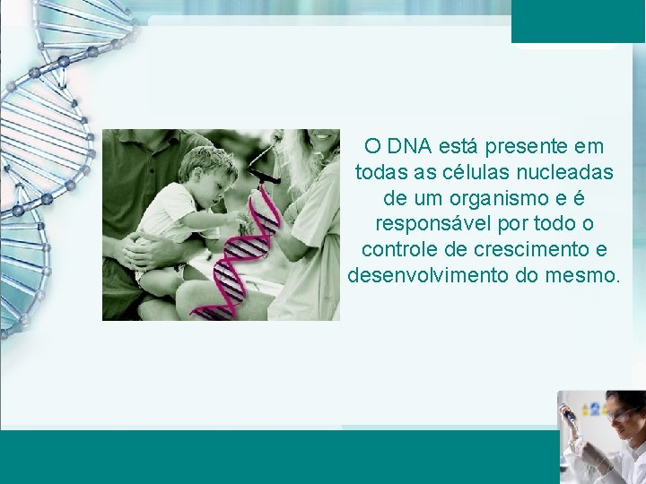 O DNA está presente em todas as células nucleadas de um organismo e é