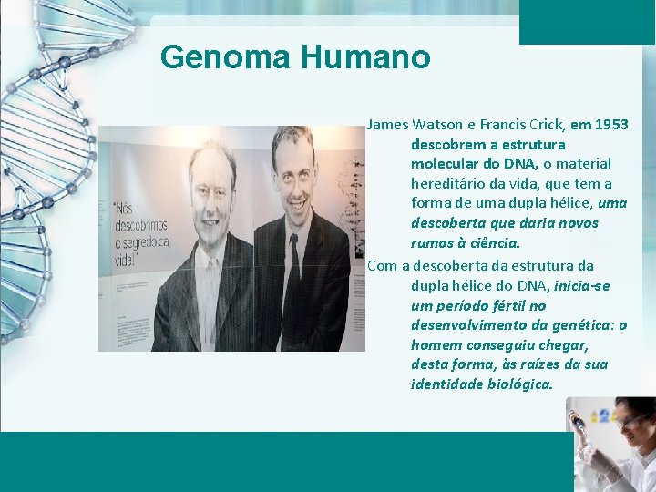 Genoma Humano James Watson e Francis Crick, em 1953 descobrem a estrutura molecular do