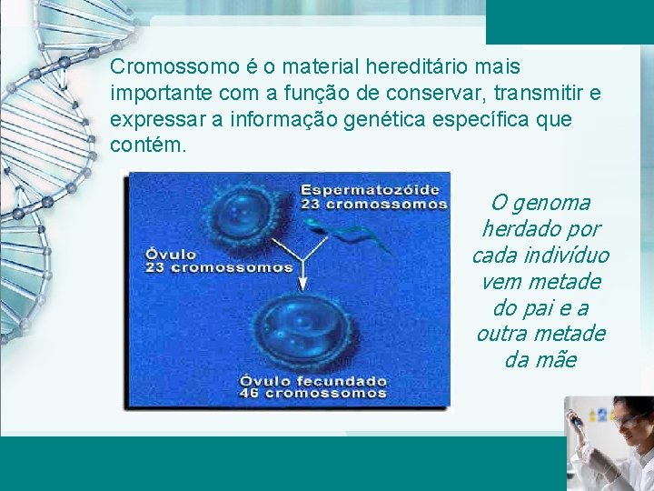 Cromossomo é o material hereditário mais importante com a função de conservar, transmitir e