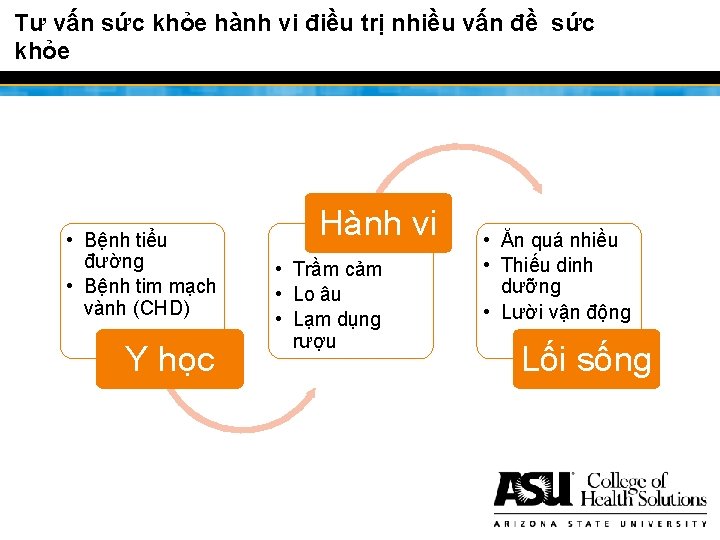 Tư vấn sức khỏe hành vi điều trị nhiều vấn đề sức khỏe •