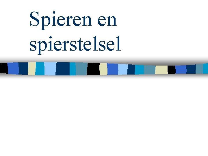 Spieren en spierstelsel 