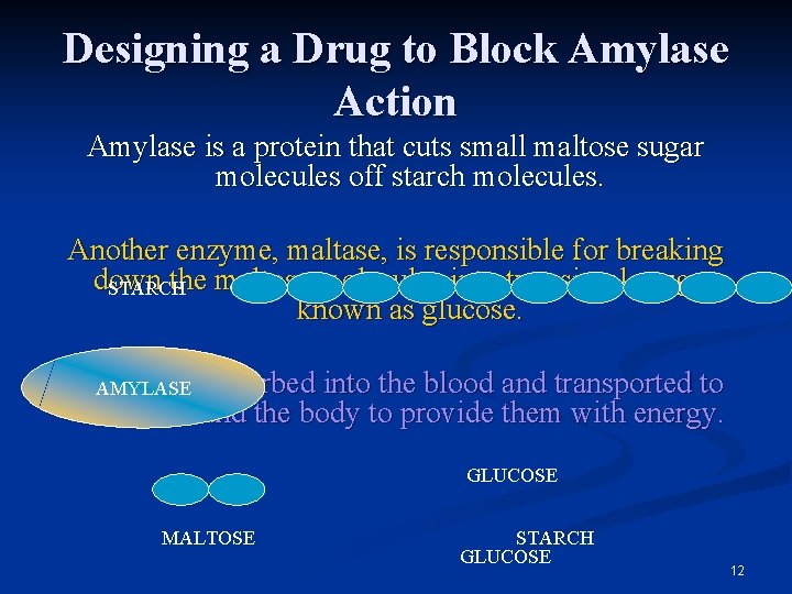 Rational Drug Design Using the 3 D Shape