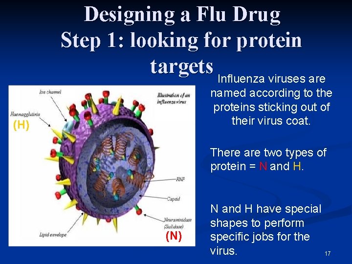 Rational Drug Design Using the 3 D Shape