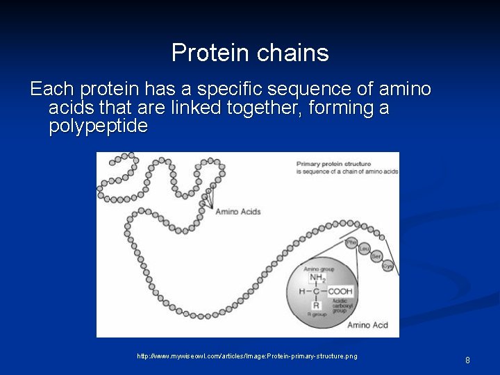 Rational Drug Design Using the 3 D Shape