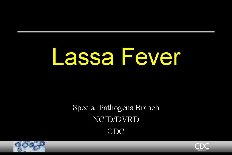 Lassa Fever Special Pathogens Branch NCID/DVRD CDC 