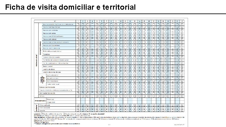 Ficha de visita domiciliar e territorial 