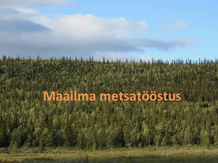 Maailma metsatööstus Avaldatud Creative Commonsi litsentsi „Autorile viitamine + jagamine samadel tingimustel 3. 0