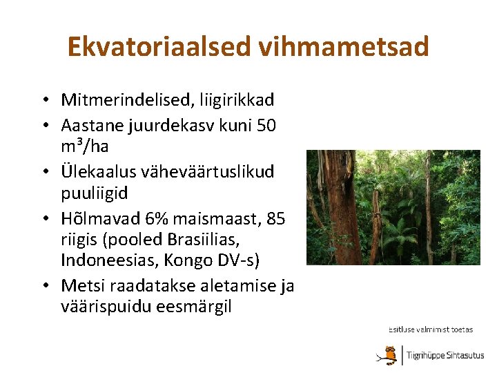 Ekvatoriaalsed vihmametsad • Mitmerindelised, liigirikkad • Aastane juurdekasv kuni 50 m³/ha • Ülekaalus väheväärtuslikud