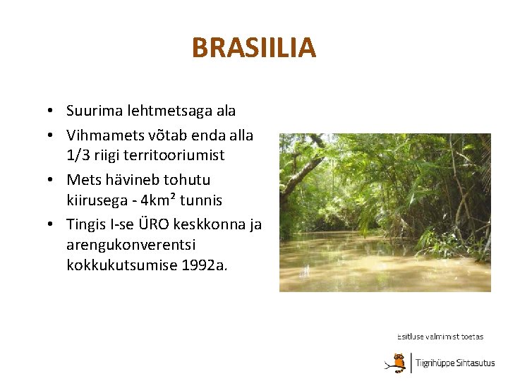 BRASIILIA • Suurima lehtmetsaga ala • Vihmamets võtab enda alla 1/3 riigi territooriumist •