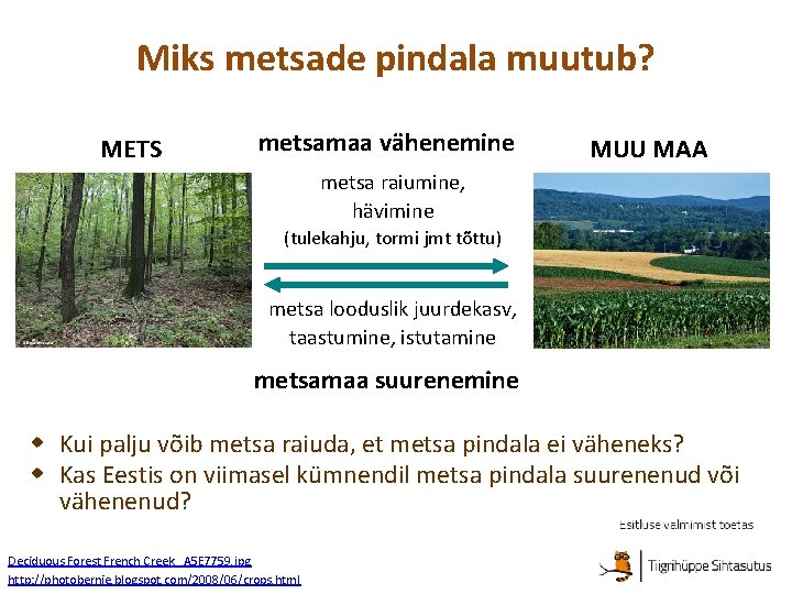 Miks metsade pindala muutub? METS metsamaa vähenemine MUU MAA metsa raiumine, hävimine (tulekahju, tormi