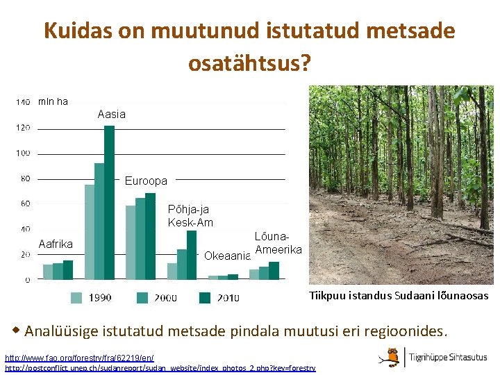 Kuidas on muutunud istutatud metsade osatähtsus? mln ha Aasia Euroopa Põhja-ja Kesk-Am Aafrika Okeaania