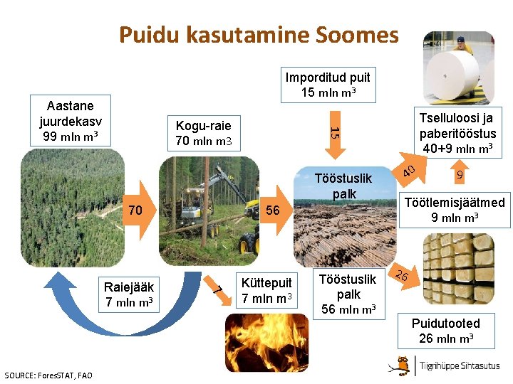 Puidu kasutamine Soomes Imporditud puit 15 mln m 3 Aastane juurdekasv 99 mln m
