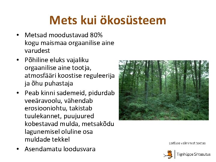 Mets kui ökosüsteem • Metsad moodustavad 80% kogu maismaa orgaanilise aine varudest • Põhiline
