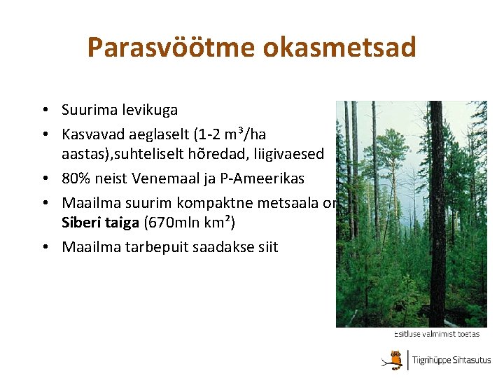 Parasvöötme okasmetsad • Suurima levikuga • Kasvavad aeglaselt (1 -2 m³/ha aastas), suhteliselt hõredad,