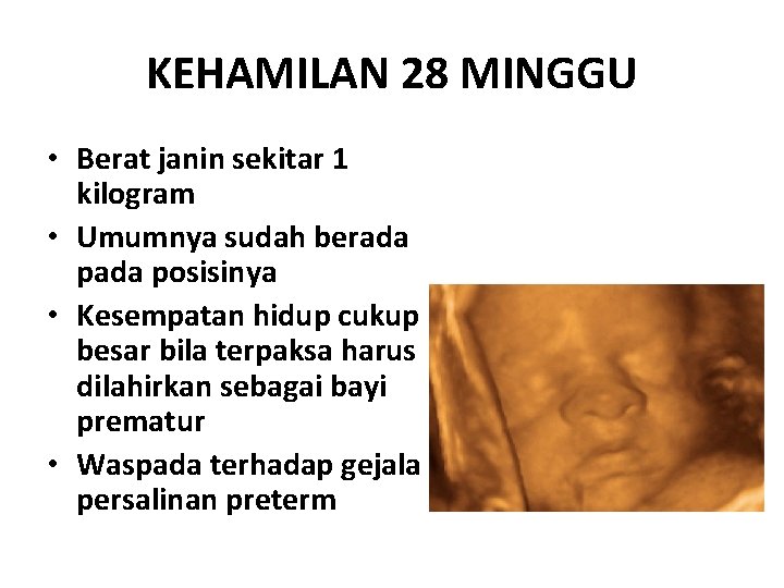 Konsep Dasar Kehamilan Dan Tumbuh Kembang Janin Seorang