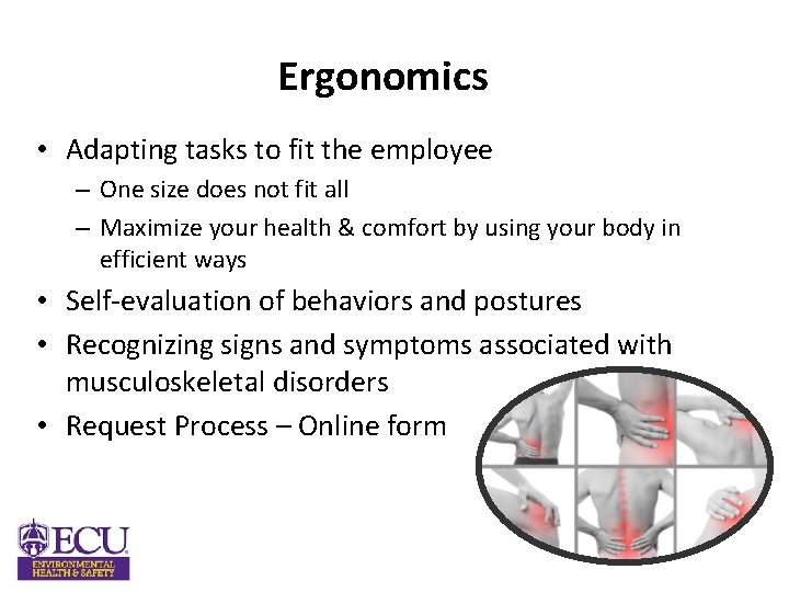 Ergonomics • Adapting tasks to fit the employee – One size does not fit