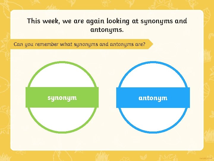 This week, we are again looking at synonyms and antonyms. Can you remember what