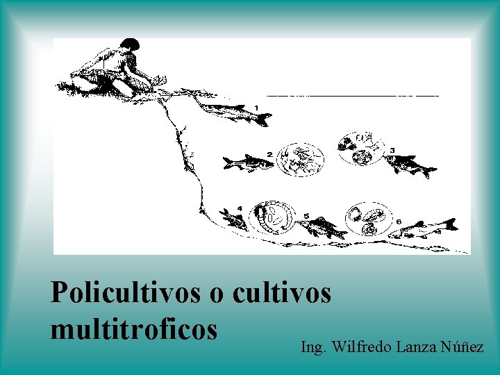 Policultivos o cultivos multitroficos Ing. Wilfredo Lanza Núñez 