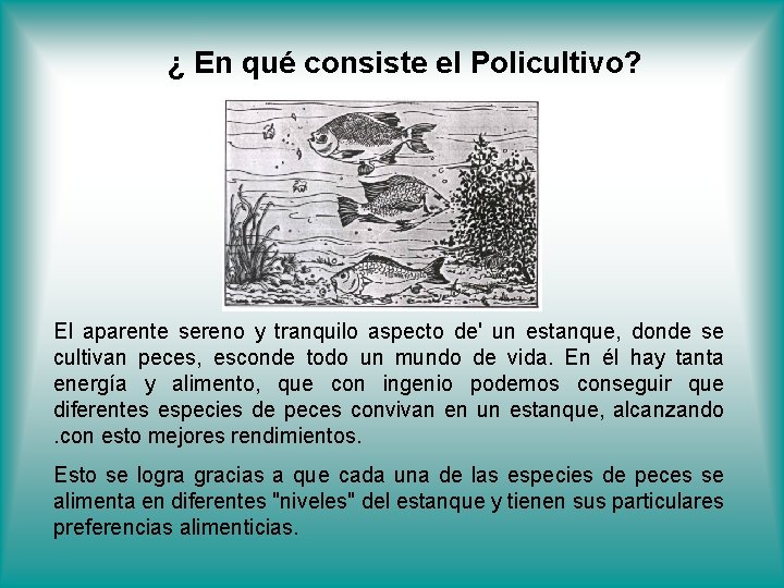 ¿ En qué consiste el Policultivo? El aparente sereno y tranquilo aspecto de' un