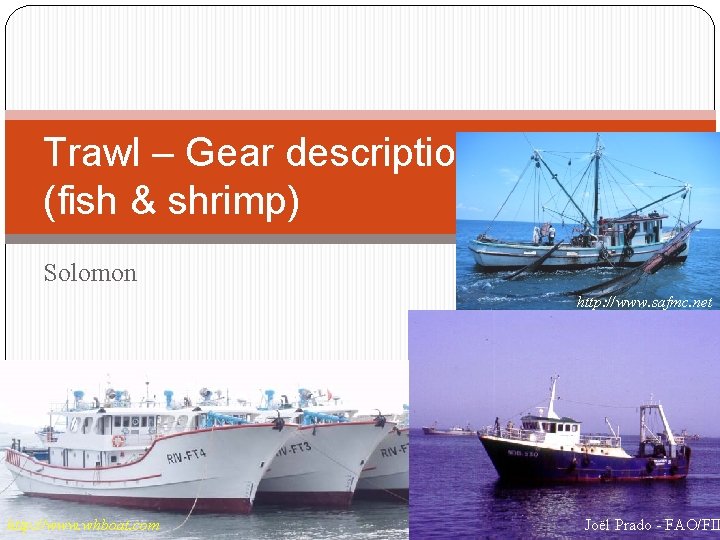 Trawl – Gear description (fish & shrimp) Solomon http: //www. safmc. net http: //www.