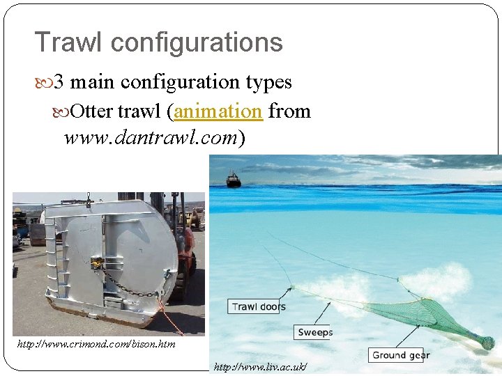 Trawl configurations 3 main configuration types Otter trawl (animation from www. dantrawl. com) http: