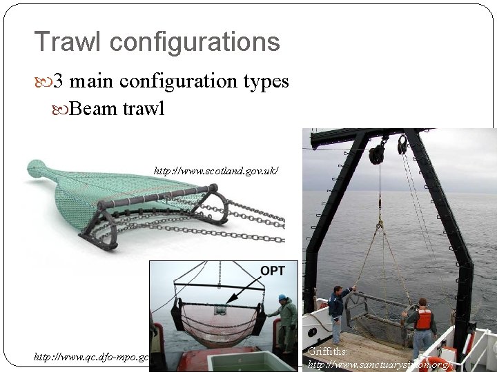 Trawl configurations 3 main configuration types Beam trawl http: //www. scotland. gov. uk/ http: