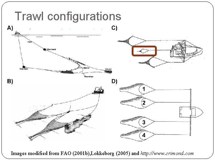 Trawl configurations Images modified from FAO (2001 b), Lokkeborg (2005) and http: //www. crimond.
