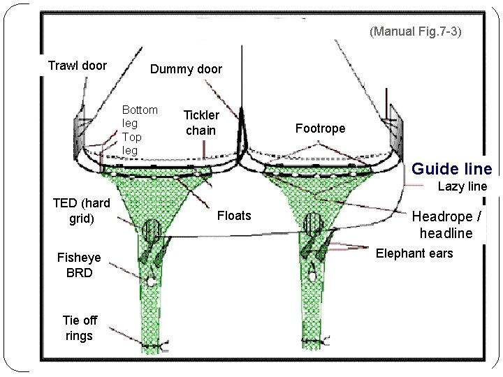 (Manual Fig. 7 -3) Net configuration Dummy door Trawl door Bottom leg Top leg