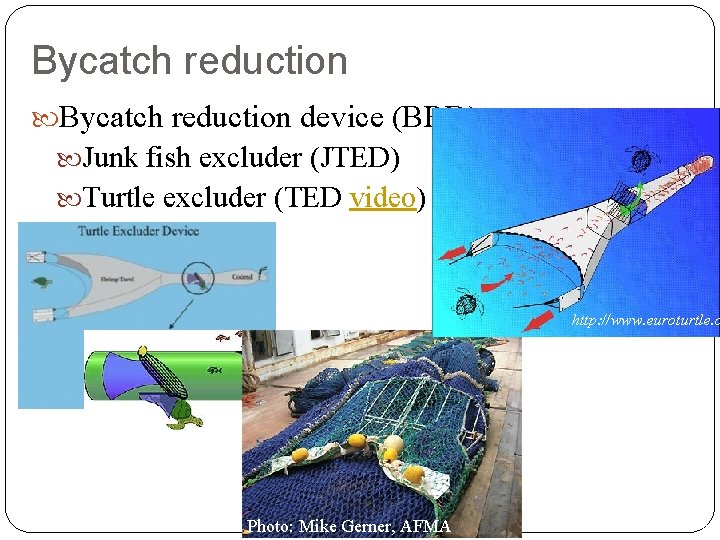 Bycatch reduction device (BRD) Junk fish excluder (JTED) Turtle excluder (TED video) w http: