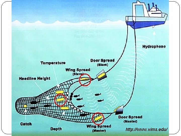 http: //www. vims. edu/ 