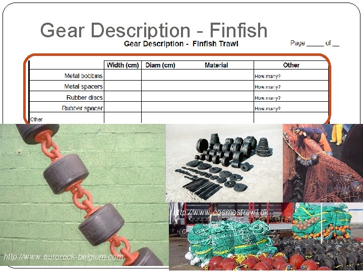 Gear Description - Finfish http: //www. cosmostrawl. dk http: //www. eurorock-belgium. com 