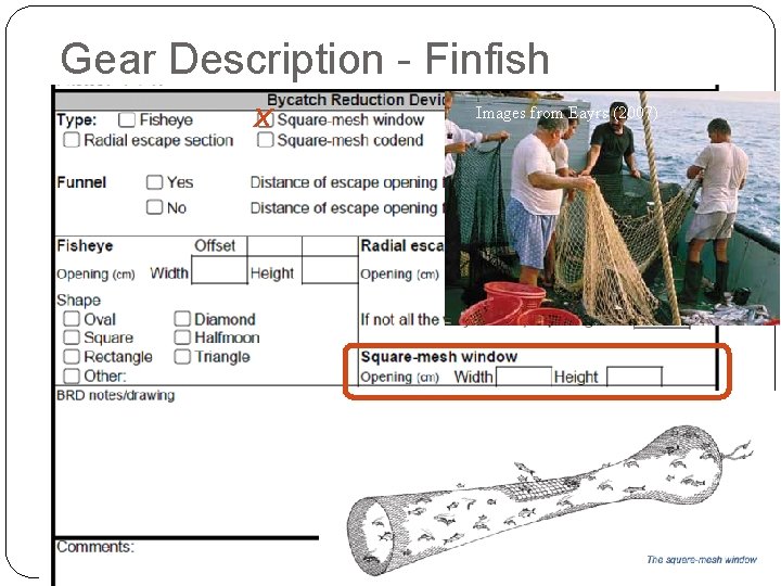 Gear Description - Finfish X Images from Eayrs (2007) 