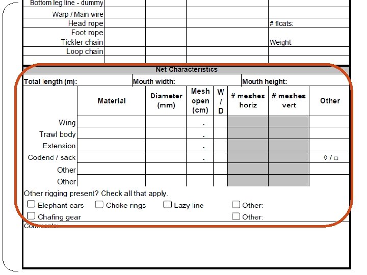 Gear Description - Shrimp 