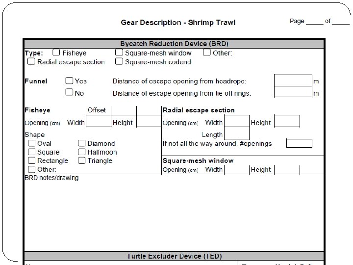 Gear Description - Shrimp 