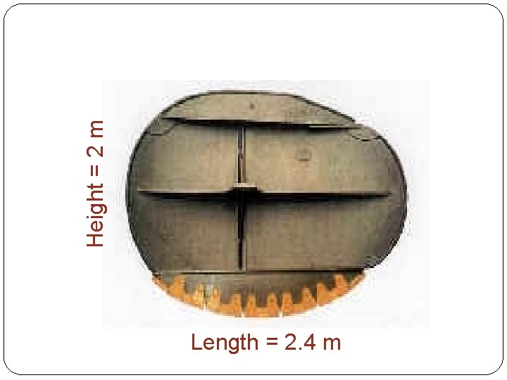 Height = 2 m Length = 2. 4 m 