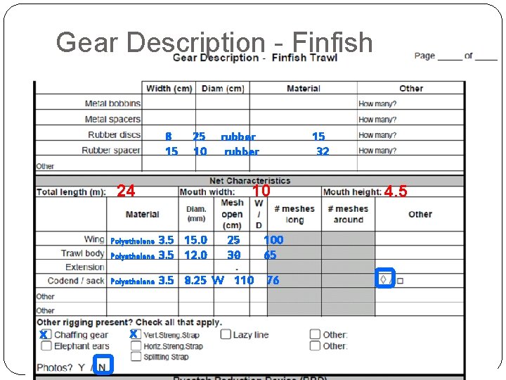 Gear Description - Finfish 8 15 25 10 rubber 24 x 10 Polyethelene 3.