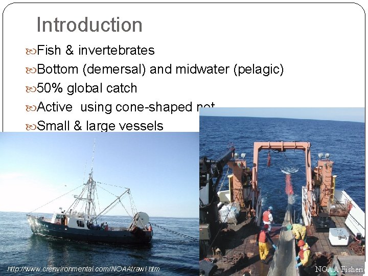 Introduction Fish & invertebrates Bottom (demersal) and midwater (pelagic) 50% global catch Active using