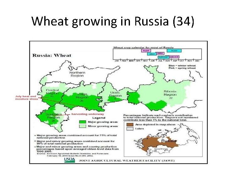 Wheat growing in Russia (34) 